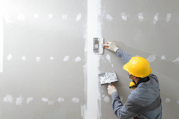 New Orleans, LA Drywall & Painting Services Company